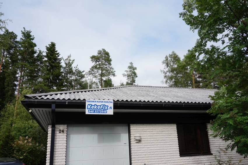 Varttikatto pesty ja myrkytetty