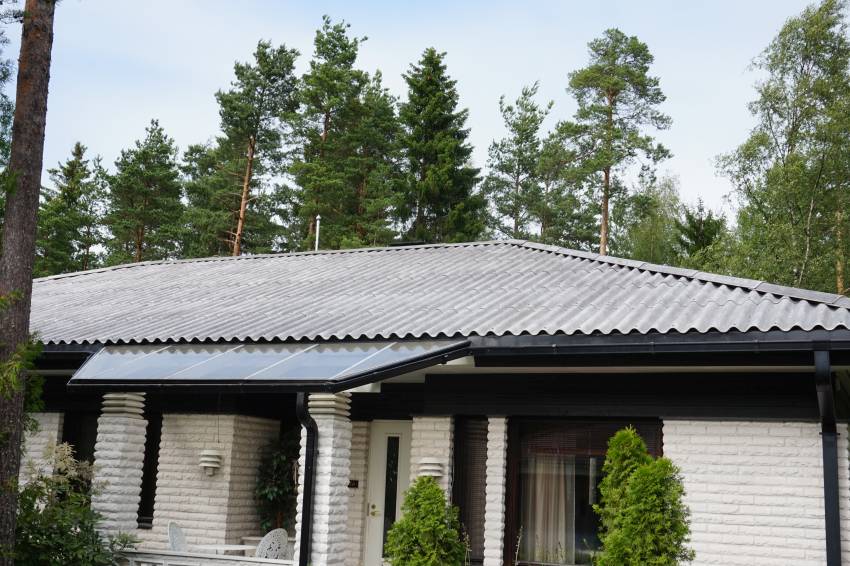 Varttikatto pesty ja myrkytetty